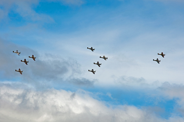 10 Spits over Goodwood.jpg