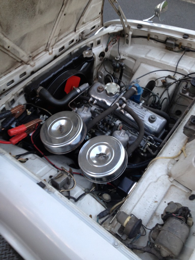 IMG_2514 (Medium).JPG