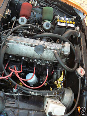 Bellett - orange - 04.JPG